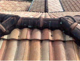 Down pipes before