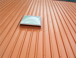 Roof after