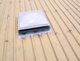 Roof before