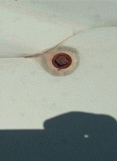 Rusty roof screw in need of attention